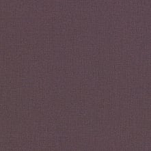 Pinot Swatch Teaser